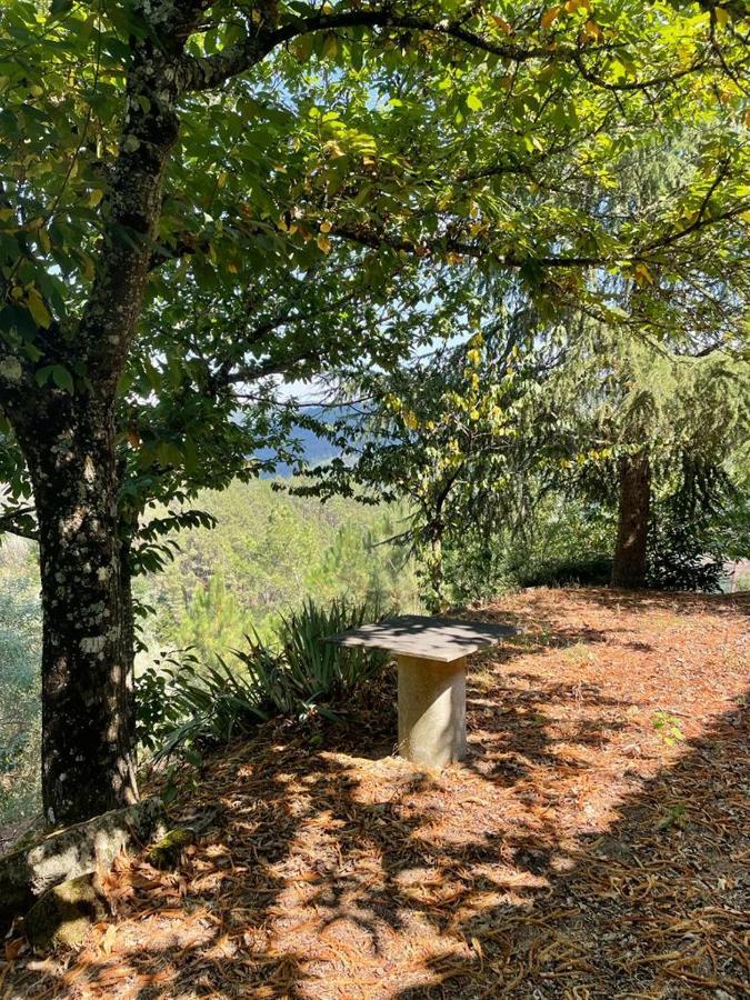 Villa Casa Do Cuco, Ribeira Sacra à Ourense Extérieur photo